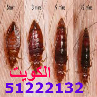مكافحة حشرات