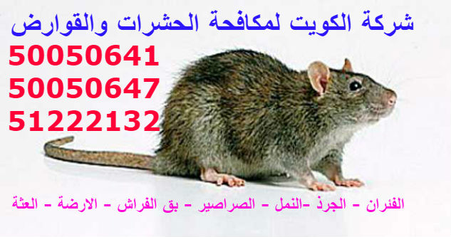 مكافحة القوارض