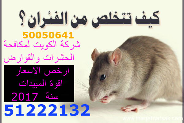 مكافحة القوارض