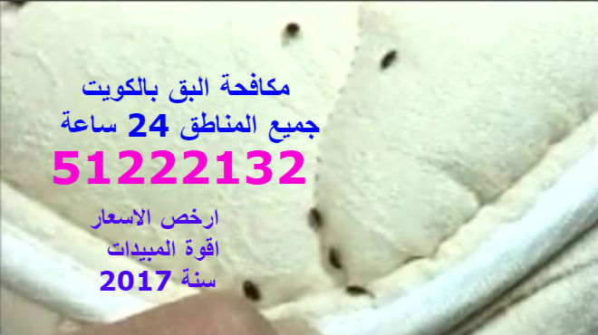 مكافحة حشرات