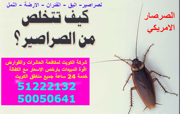 مكافحة حشرات