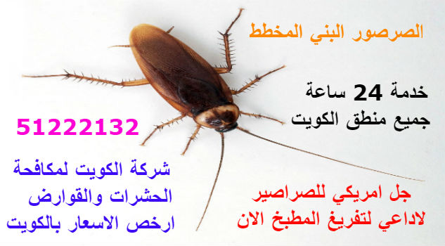مكافح حشرات