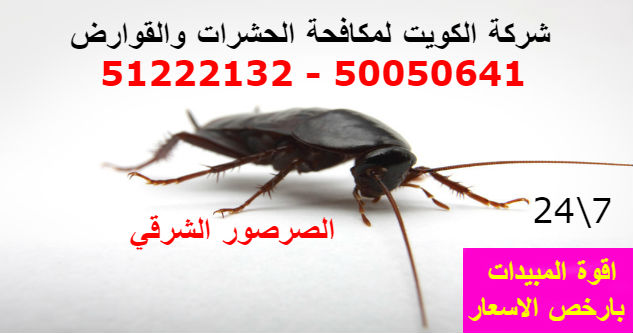 مكافحة حشرات