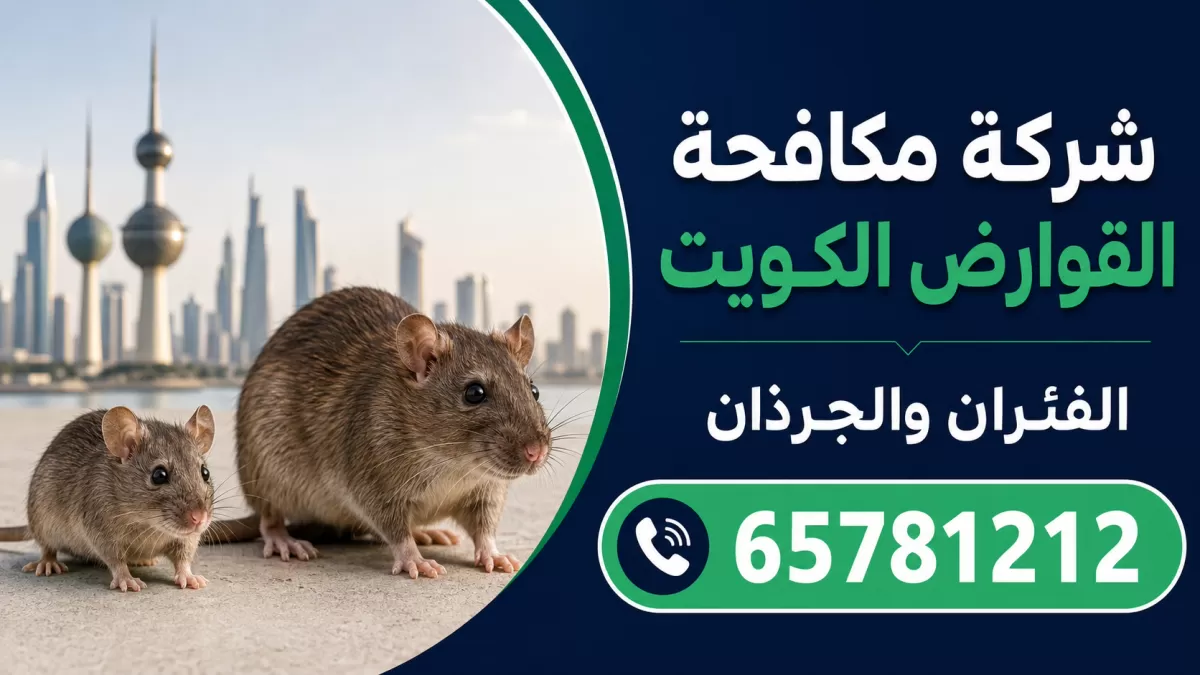 مكافحة القوارض: الفئران والجرذان — مكافحة القوارض والفئران والجرذان في الكويت — 65781212