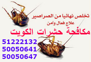 مكافحة الصراصير
