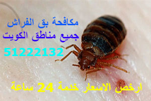 مكافحة بق الفراش