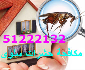 مكافحة حشرات سلوى